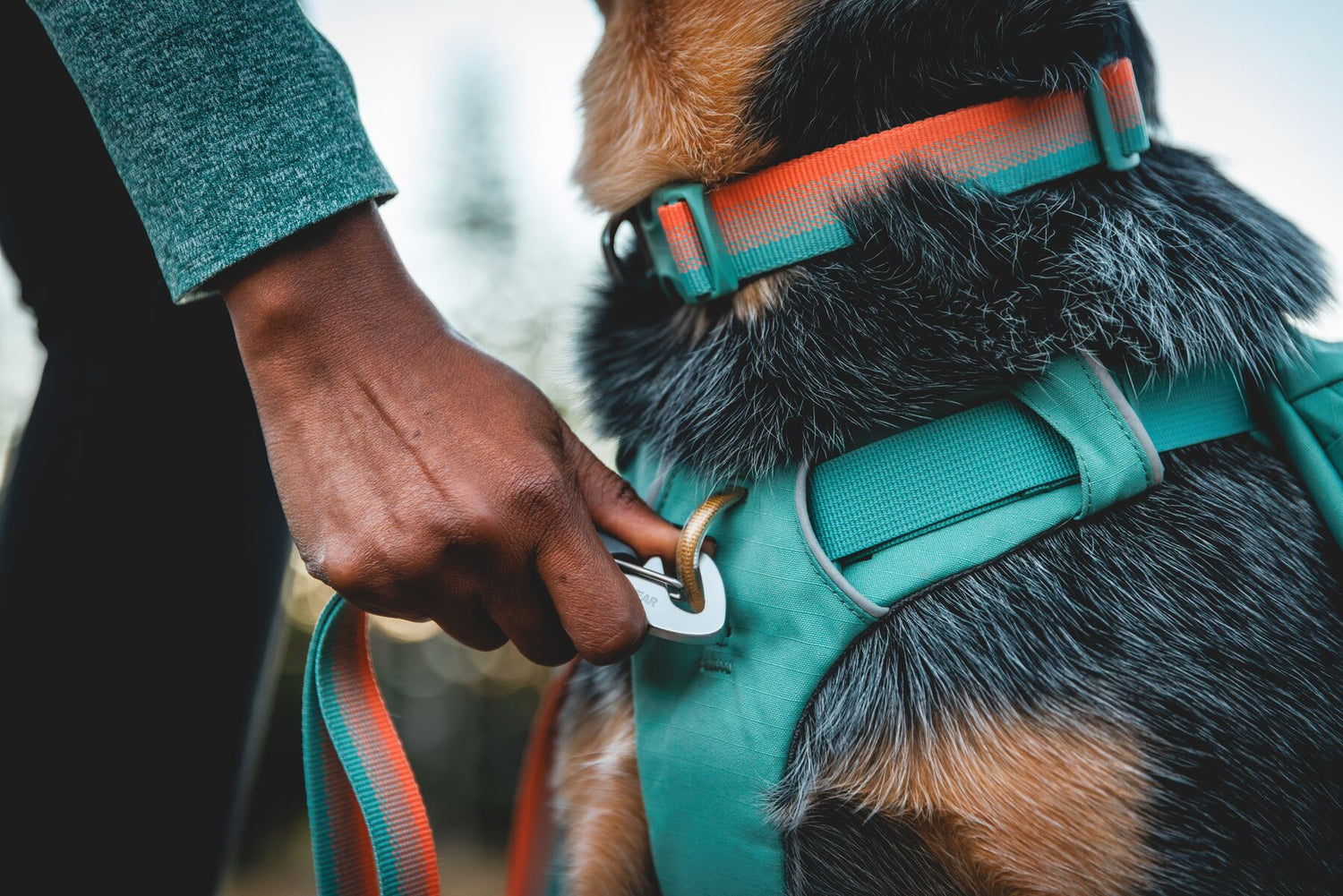 Ruffwear Front Range Dog Harness, Collar and Lead