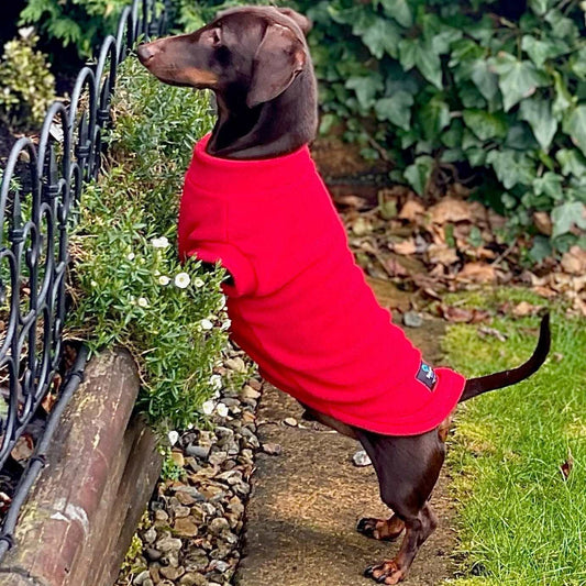 Pawsome Suits Dachshund Fleece in Red