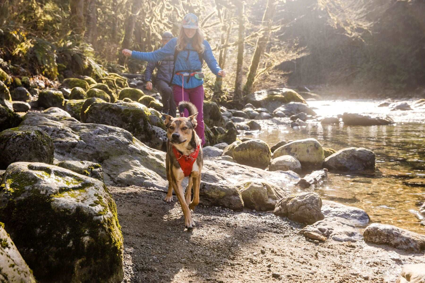 Ruffwear Front Range Dog Harness in Red Sumac XXS, XS AND S