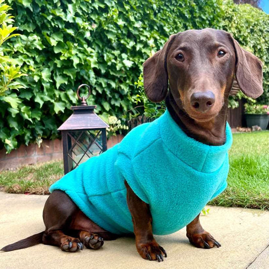 Pawsome Suits Dachshund Fleece in Jade